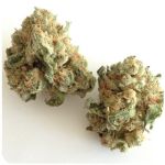 Шишки "White Widow" (Белая вдова) Гидропоника - Бошка VHQ в Белово Шишки "White Widow" (Белая вдова) Гидропоника - Бошка VHQ в Белово