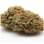 Шишки AK47  (Гидропоника, Бошка) VHQ в Белово